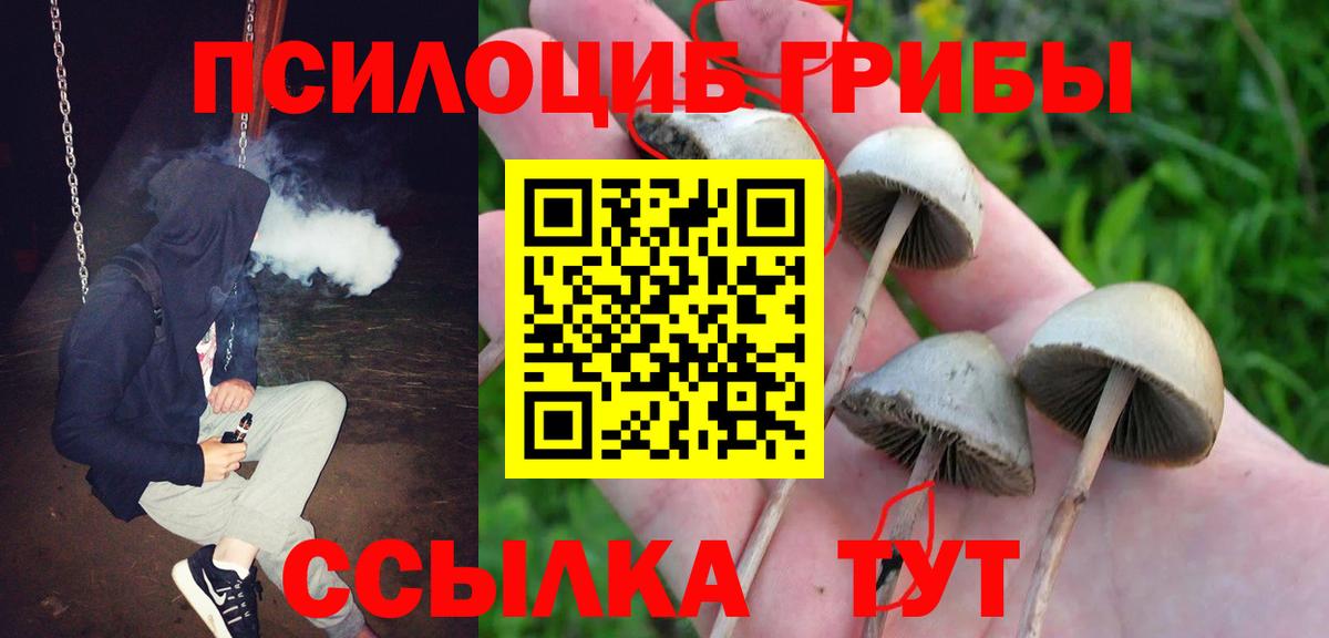 Псилоцибиновые грибы прущие грибы  Вход с VPN  Псилоцибиновые грибы прущие грибы  Зеленокумск 