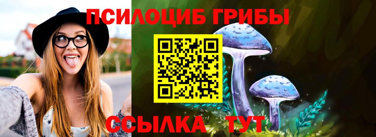 Галлюциногенные грибы Psilocybe Зеленокумск